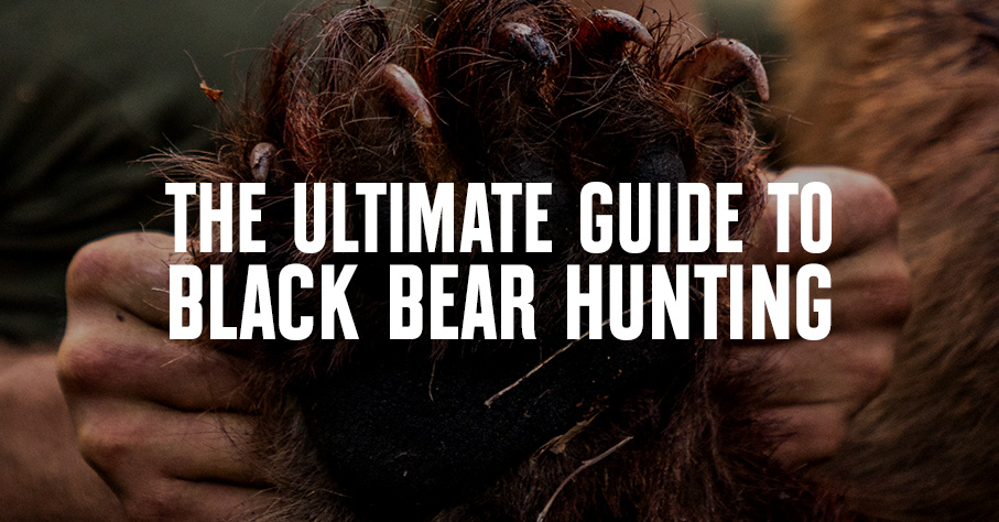 'The ultimate guide to black bear hunting' in white text.