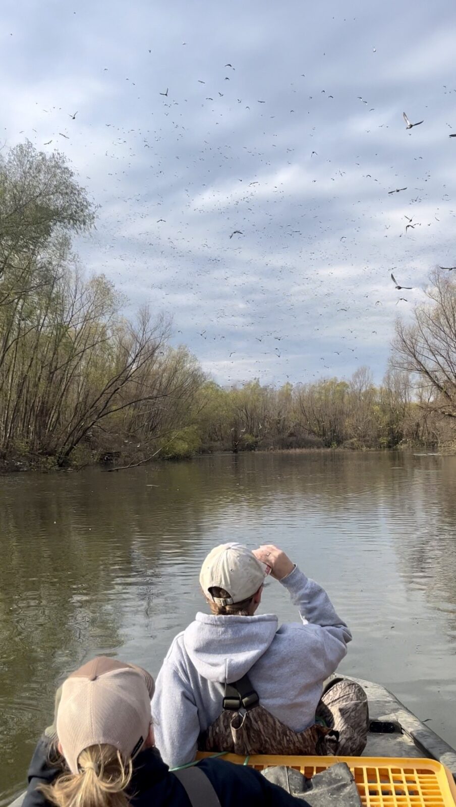 Two women in a boat on water look at ducks taking flight.